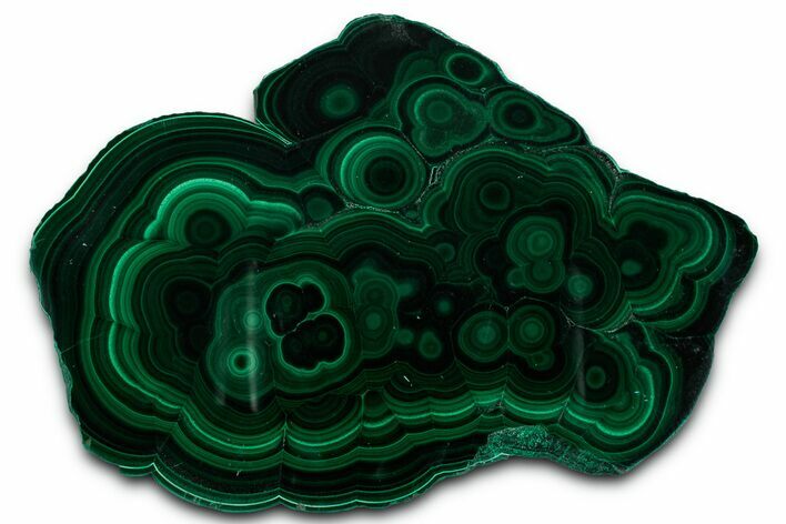 Flowery Polished Malachite Slab - DR Congo #350820